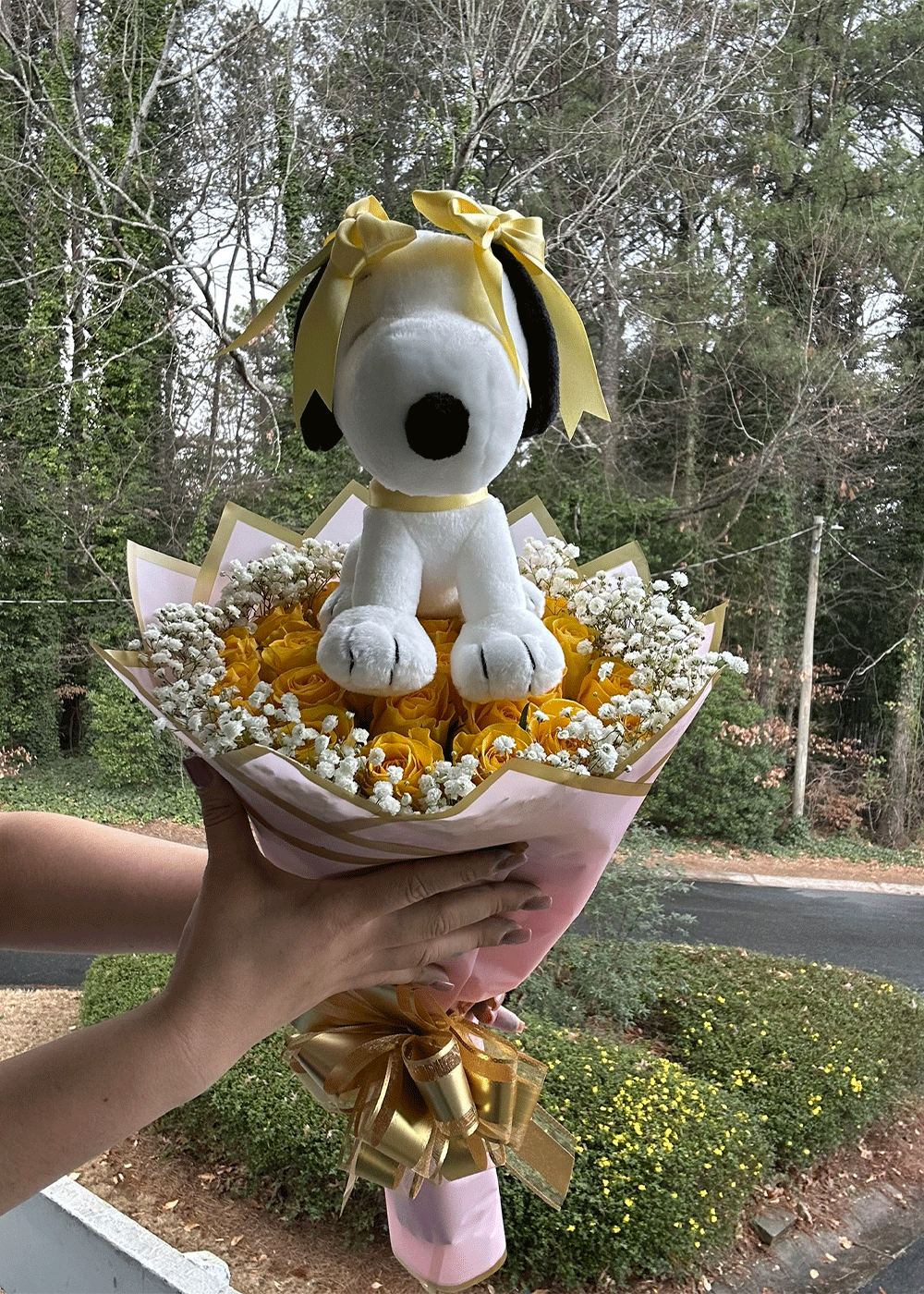Snoopy Love Bouquet – 25 Roses & Plush Gift”